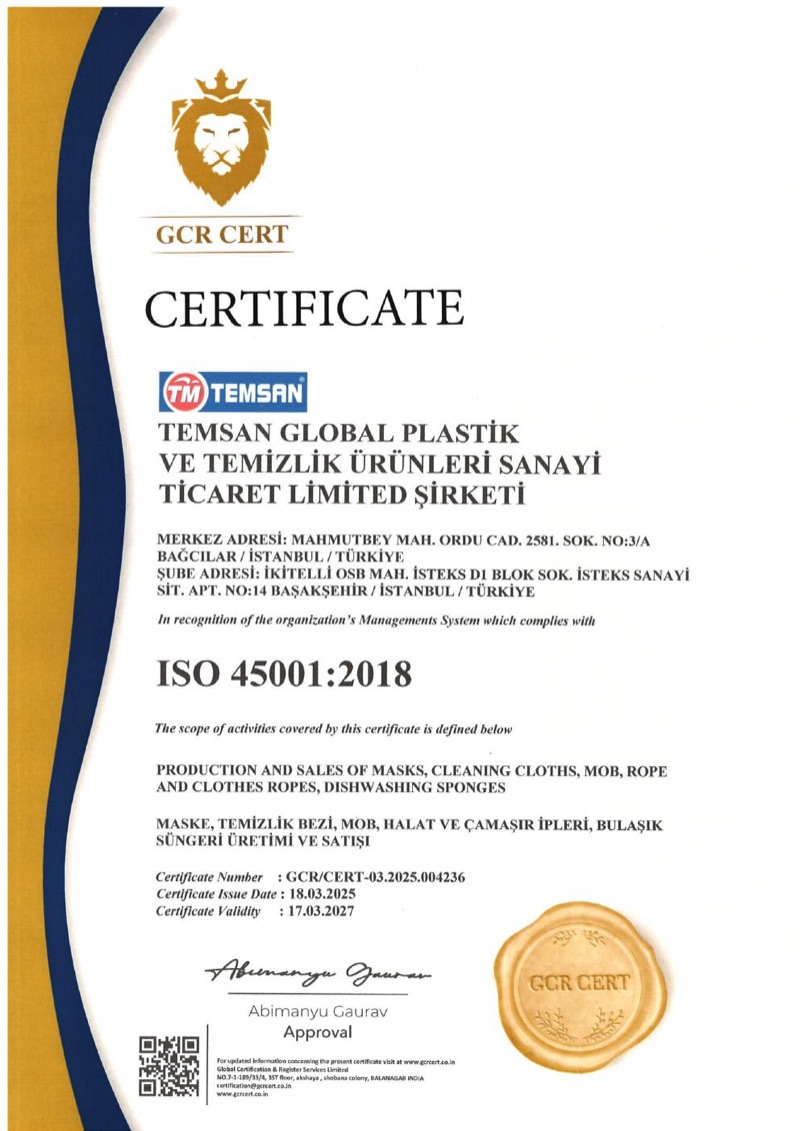 ISO 45001:2018 — Temsan Global