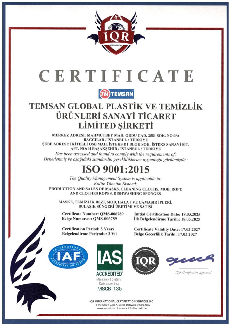 ISO 9001:2015 — Temsan Global